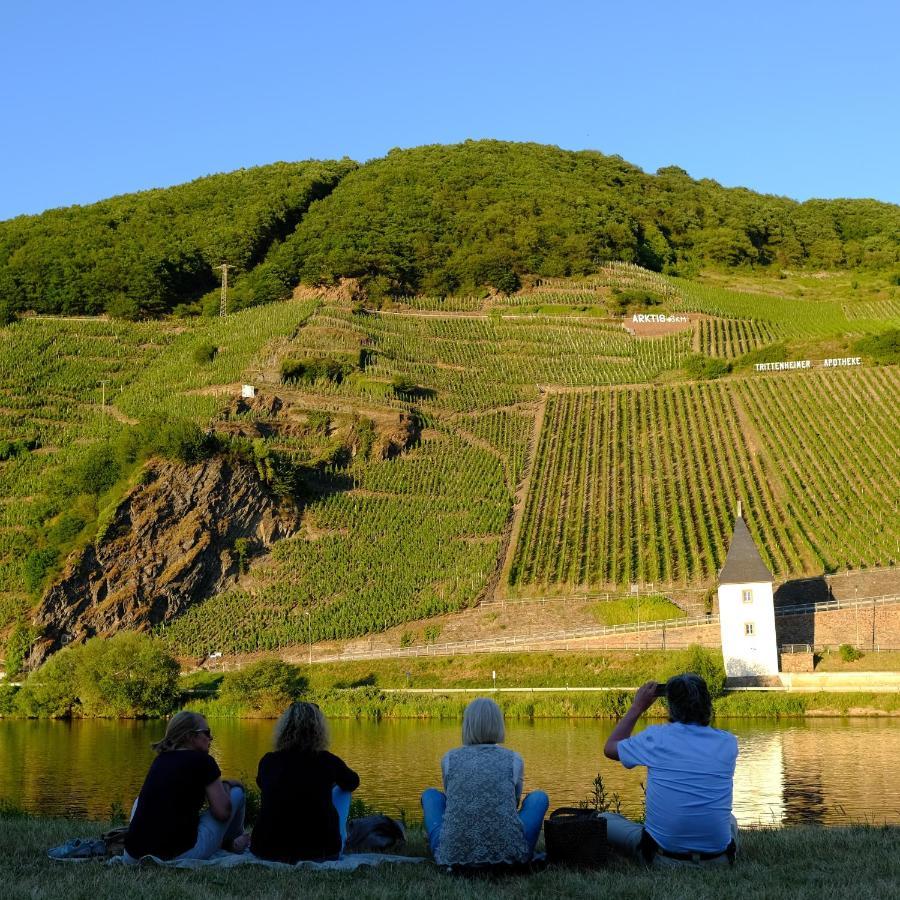 Gaestehaus & Weingut Cluesserath-Weiler Триттенхайм Экстерьер фото